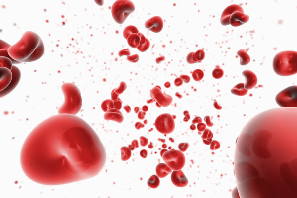 colesterol no indicador de infartos