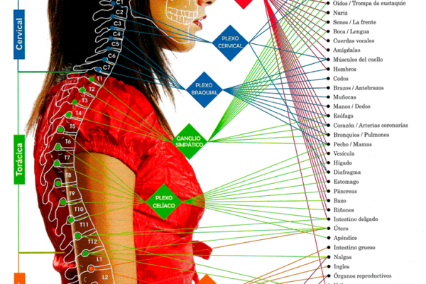Como Descubrió un Médico la Quiropráctica