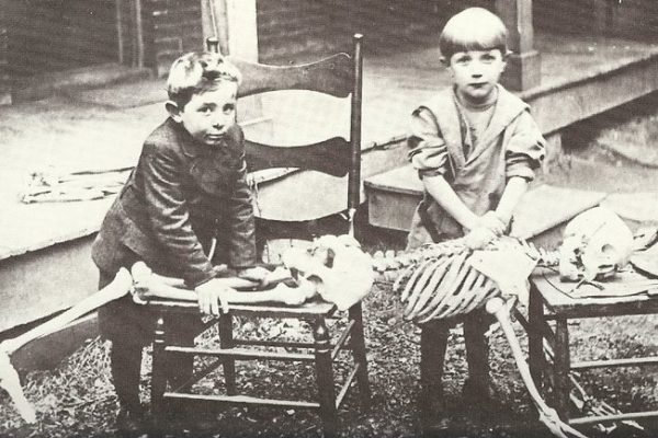 Reversión correctiva