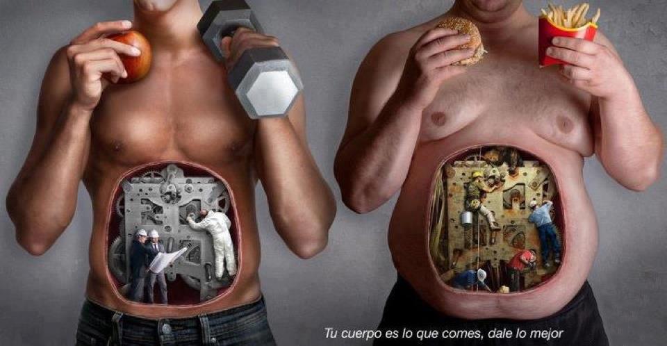 4 Pasos para sanar el sindrome del intestino