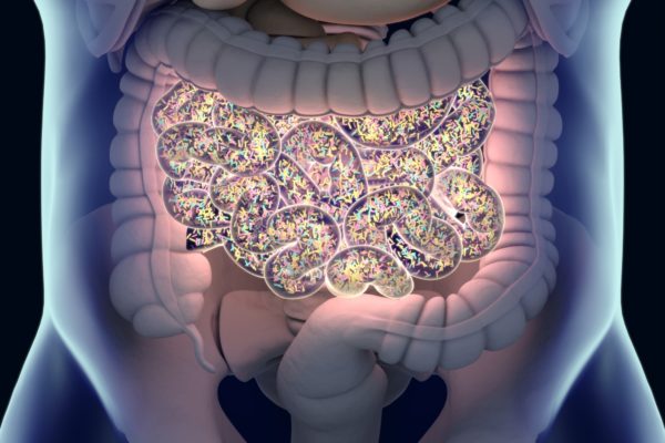 4 Pasos para sanar el sindrome del intestino