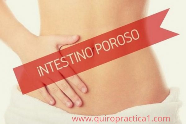intestino poroso