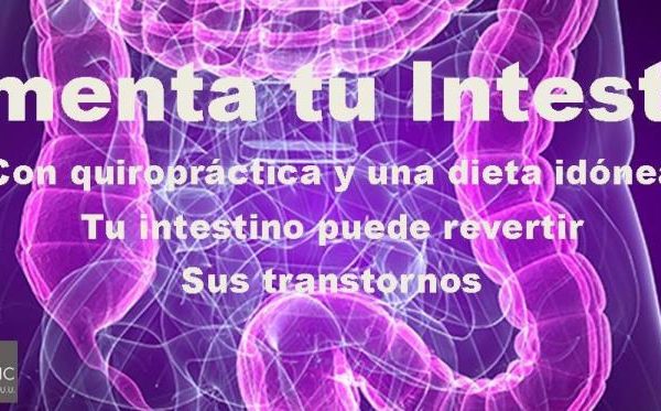 Alimenta y Recupera tu Intestino