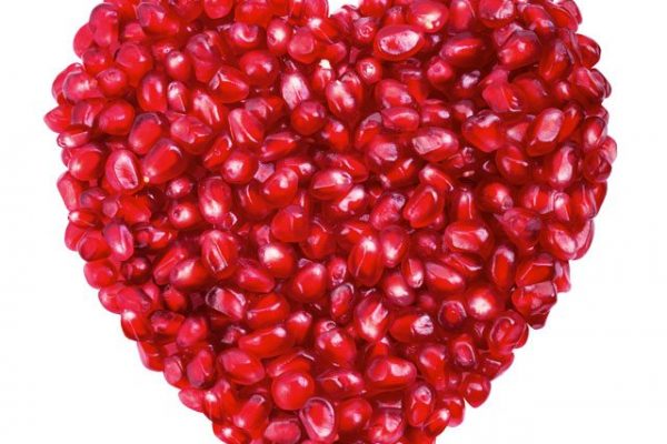 6 Alimentos para el Sistema Nervioso