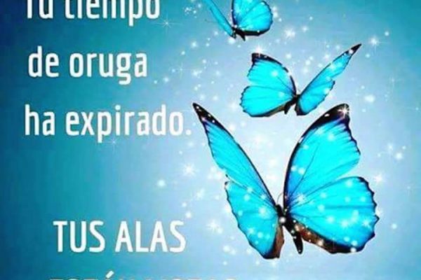 Tratamiento natural de infecciones