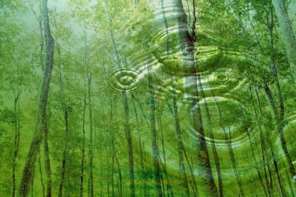 Problemas intestinales solucion Mataro