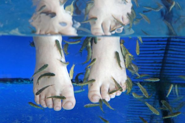 Psoriasis y quiropractica