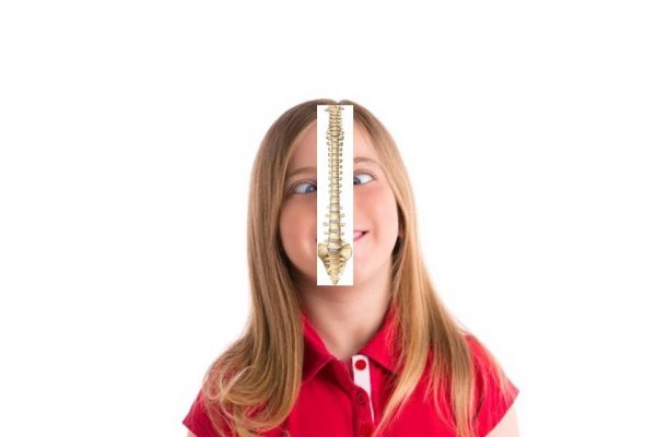 columna vertebral Mataro