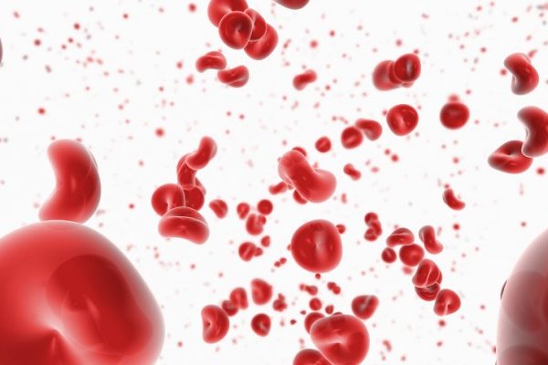 Tensión Arterial y quiropractica