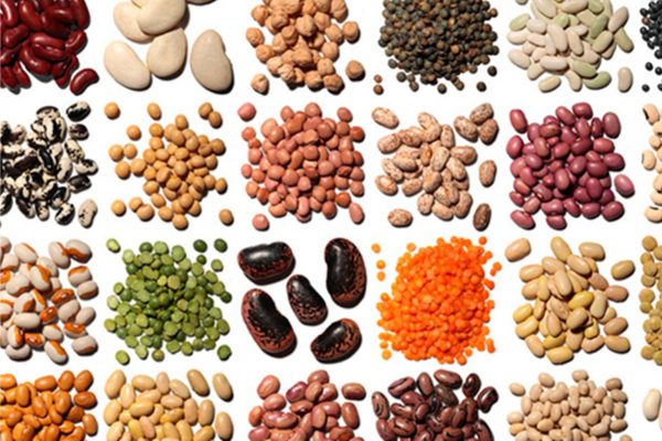 Alimentos ricos en Folato Top 10