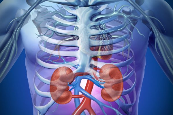 Limpieza riñones natural