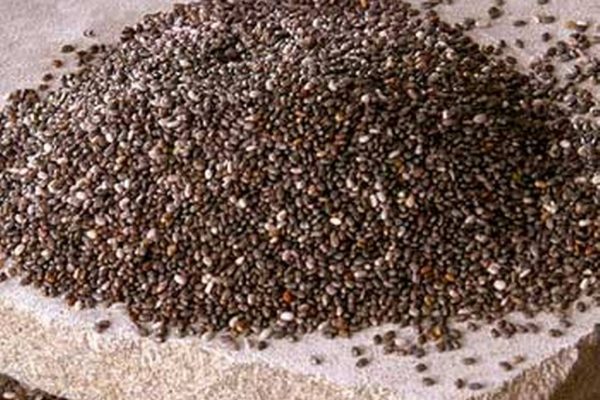 la comida de los corredores aztecas