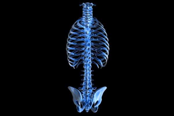 Restauración del flujo innato