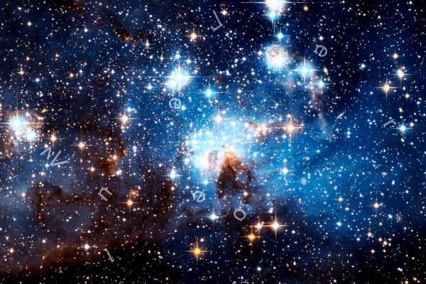 Atrae la Vida qué deseas