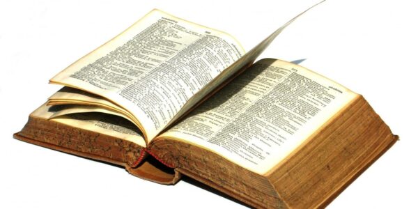 Definición de la Salud