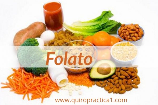 Top 10 Alimentos altos en folato
