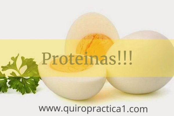 Guía rápida alternativas a la carne