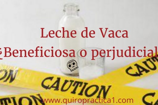 30 razones para no consumir leche de vaca
