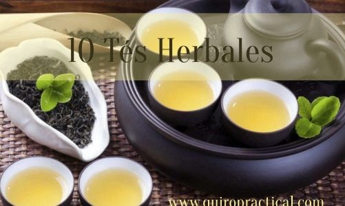 10 Tés Herbales Beneficiosos Para Tu Salud