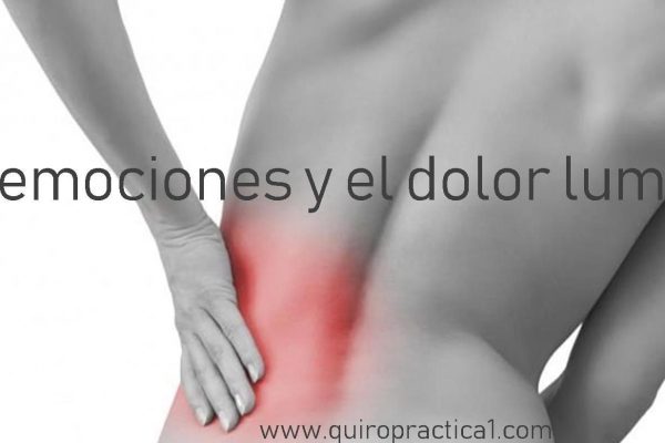 La parte baja de la Espalda