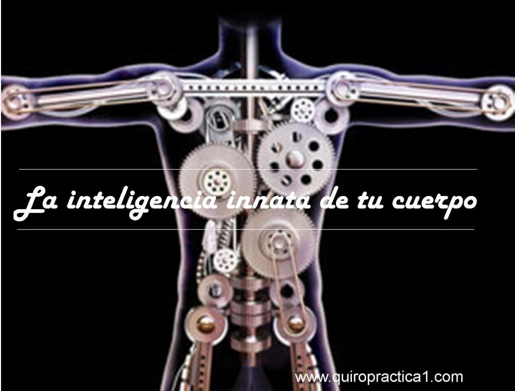 Salud Natural quiropractica