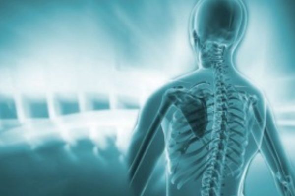 quiropractica Masnou