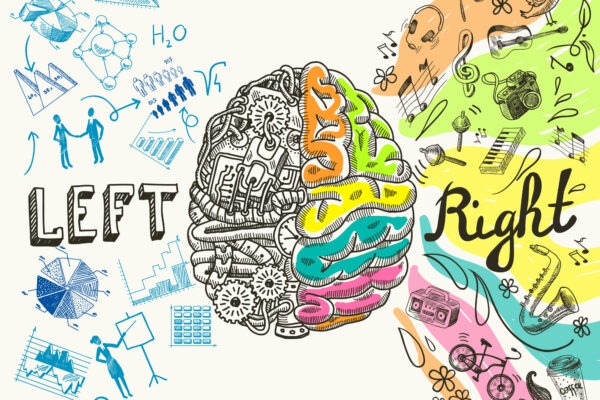 Hemisferios Cerebrales